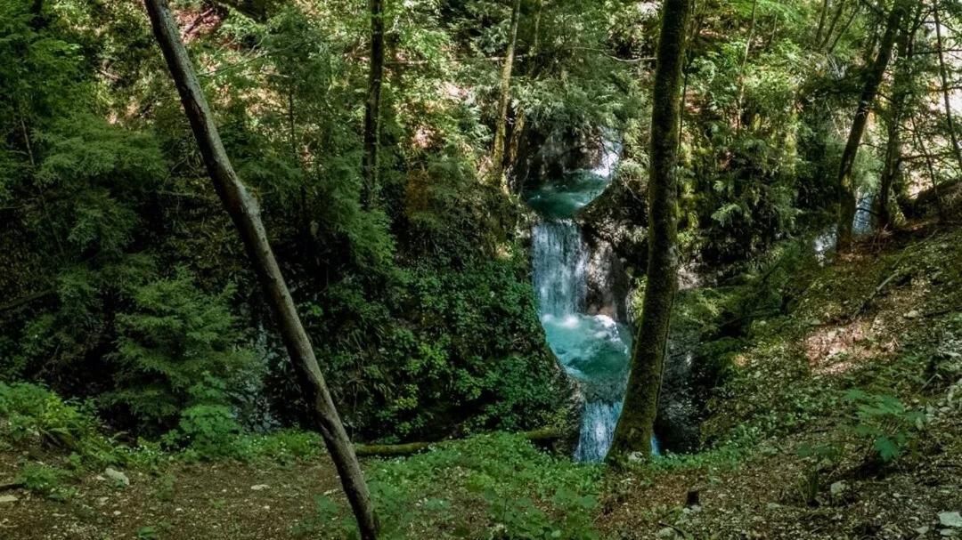 B&B Gianchia Brentino Belluno Εξωτερικό φωτογραφία